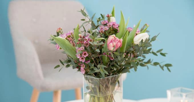 Blumen – einladende Atmosphäre in der Praxis Hotopp